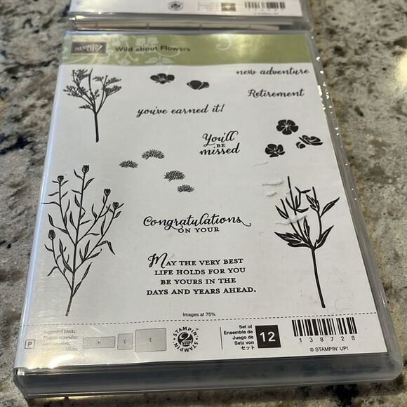 Stampin Up 4 Sets - Watercolor Wings, silhouettes, Smile, Wild about flowers - Picture 5 of 9